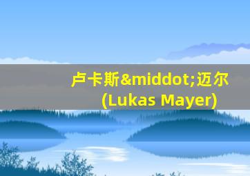 卢卡斯·迈尔(Lukas Mayer)